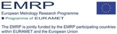 Logotyp programu EMRP